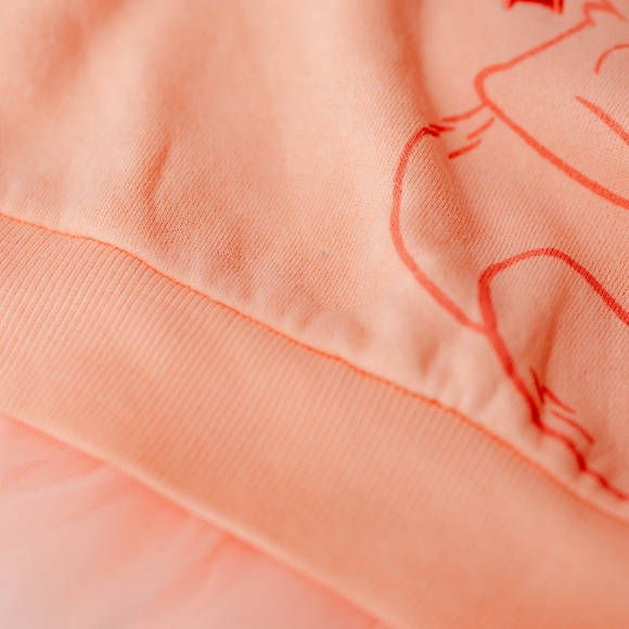 Disney Baby Winnie the Pooh Tulle Sweatshirt Size 12M NWT - Picture 5 of 7